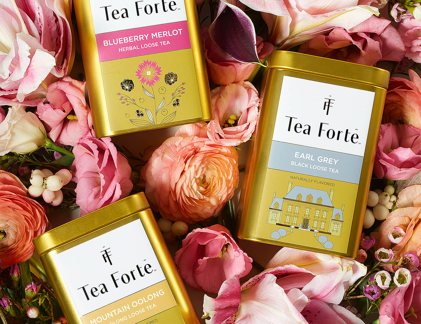 Clarity Loose Leaf Tea Canister