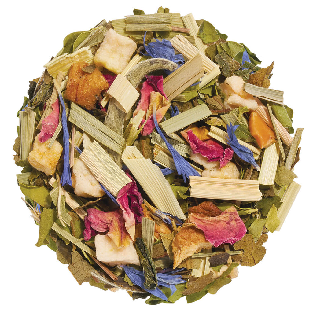 Clarity Loose Leaf Tea Canister