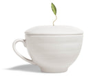 Café Cup Orchid White