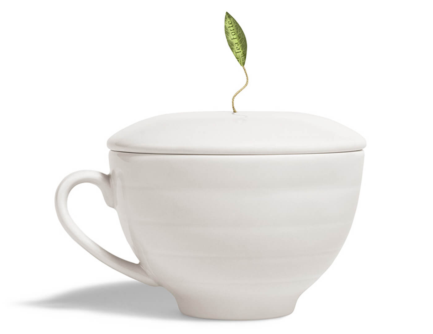 Café Cup Orchid White